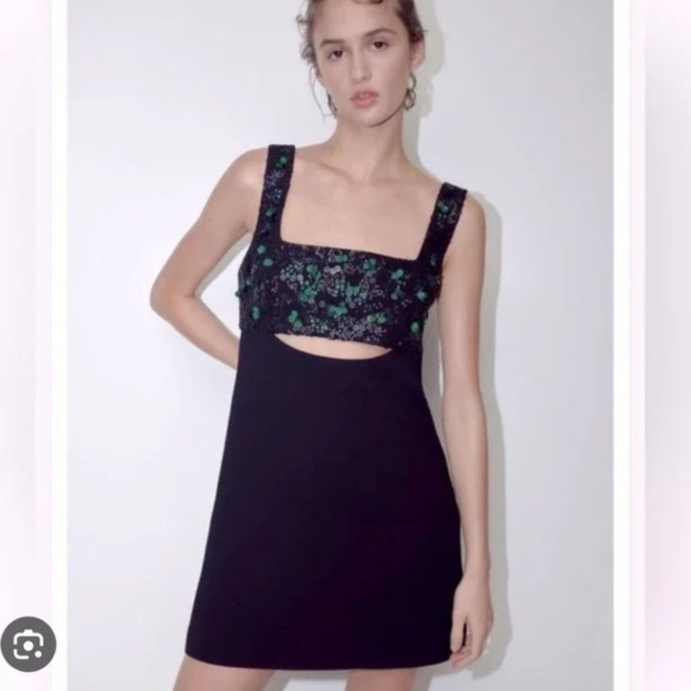 Zara NWT embroidered sequin yoke dress